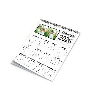 >Calendário de Parede